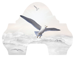 DARAY-L-101-WT Journey Home Clouds Birds White